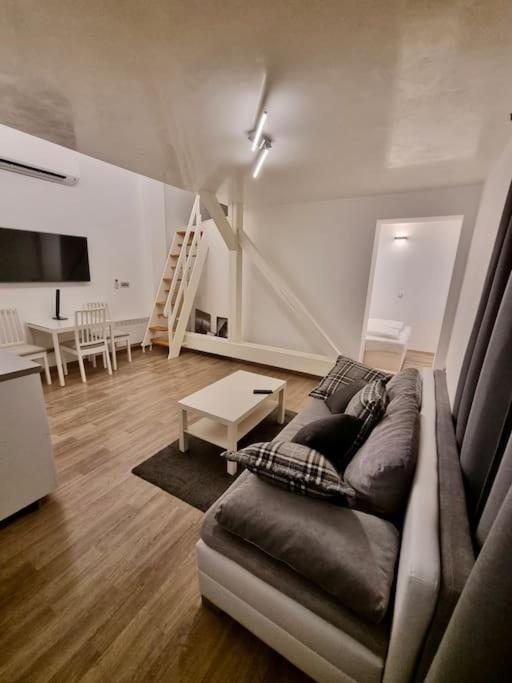 Deluxe Mansard In Karlin Apartment